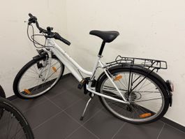 White City Bike 44cm