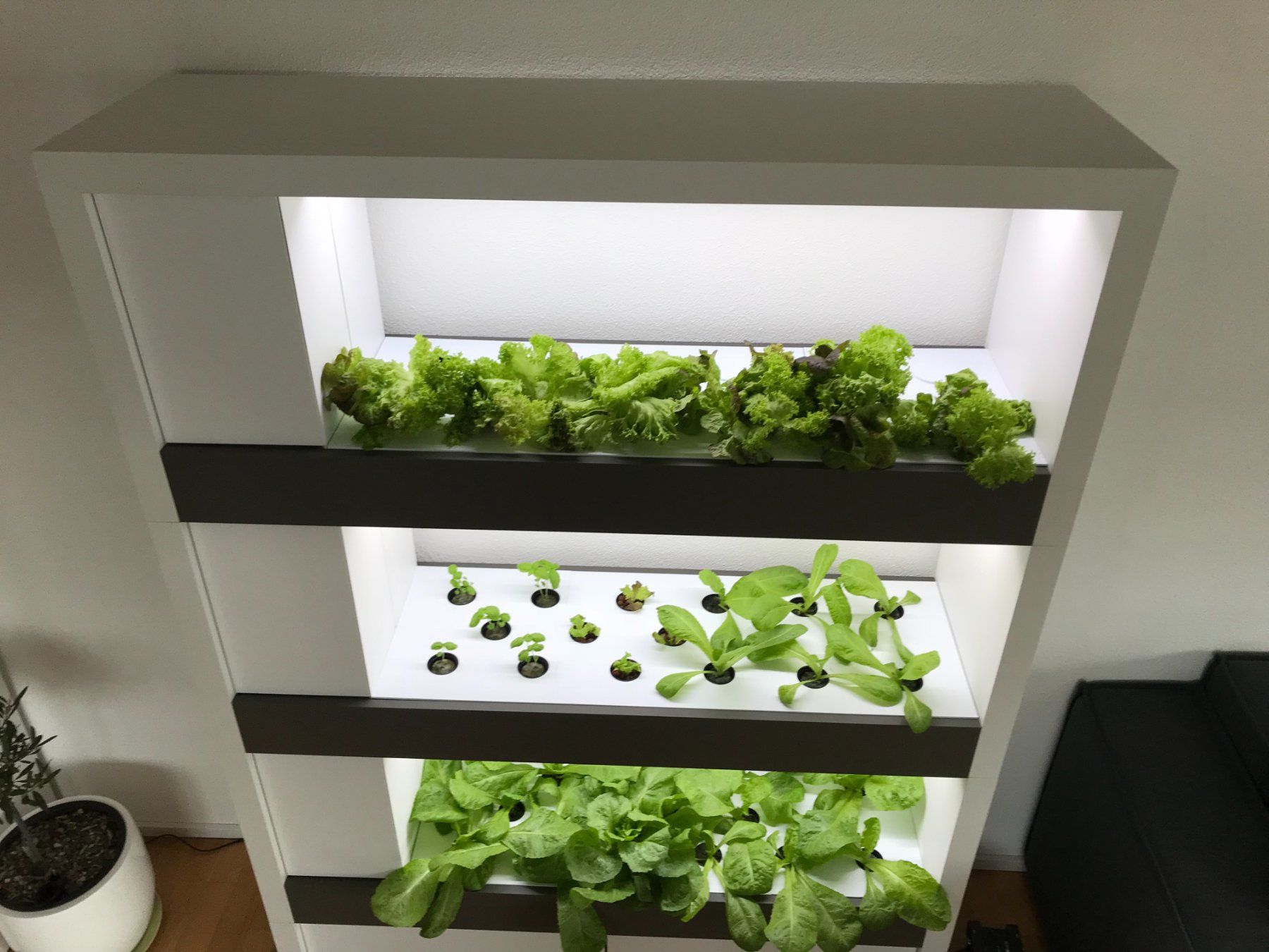 Altro: Hydroponik - Smart Indoor Farming System – Usato da Merenschwand venduto da palyaa 3