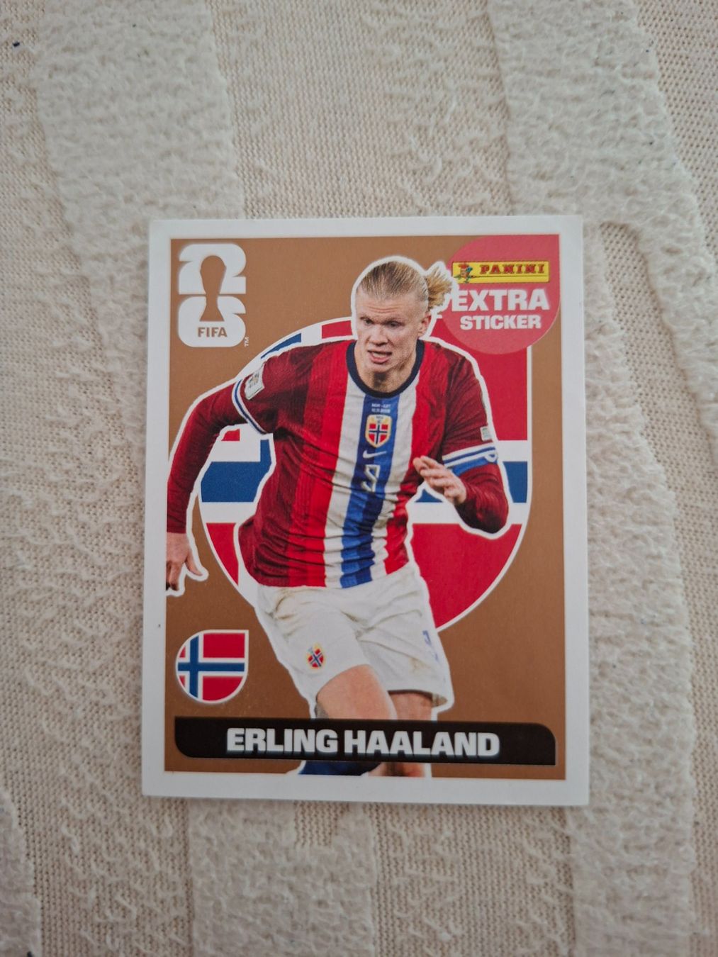 Panini Carte collezionabili: Erling Haaland Panini Extra Sticker – Usato da Bern venduto da rum9 1