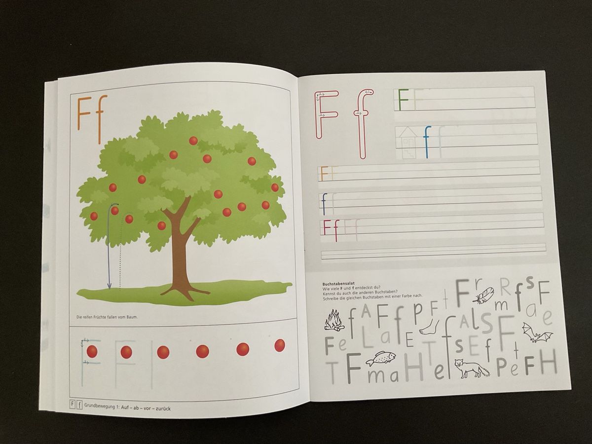 Libri: Schubi Basisschrift Arbeitsheft, neu! Primarschule – Nuovo (secondo la descrizione) da Luzern venduto da Feliz 1