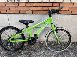 Kinder Velo Focus Raven 10 Zoll