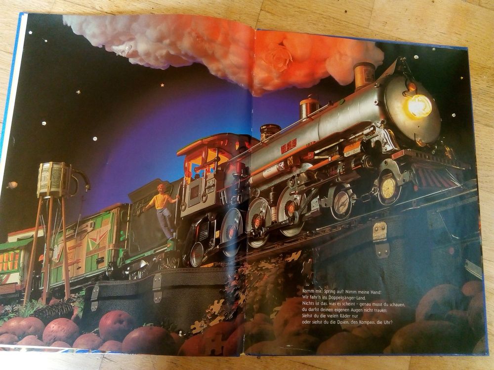 Ich sehe was, was du nicht siehst (Joan Steiner)