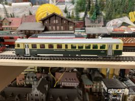 Personenwagen Bodensee Toggenburg grün beige