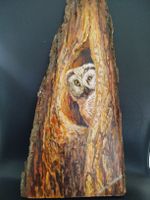 BILD auf Holz, Hüterin des alten Baumes, Grosse ca.450x190mm