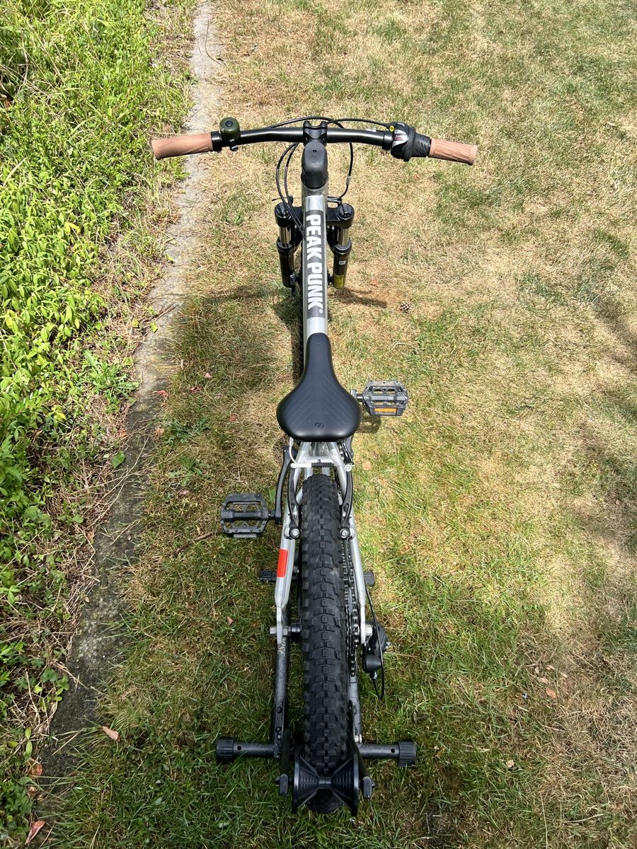 Scott Biciclette: Scott Scale 20“ Kinderfahrrad – Usato da Niederhasli venduto da jambo05 4