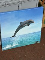 Delfin Leinwandbild, Top Zustand, Sommer Deko für Zuhause