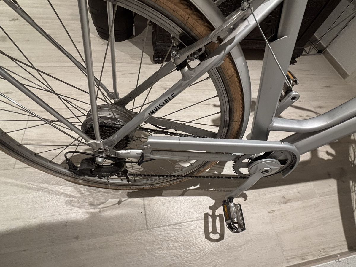 Biciclette: E-Bike Allegro Invisible – Difettoso da Biel-Benken BL venduto da Pepsi23 5