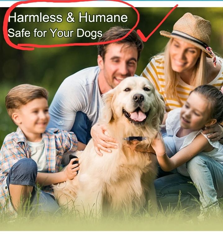 Nastri decorativi: Hundehalsband - Trainigsystem – Nuovo e nell'imballaggio originale da Zürich venduto da jme_zc89 1