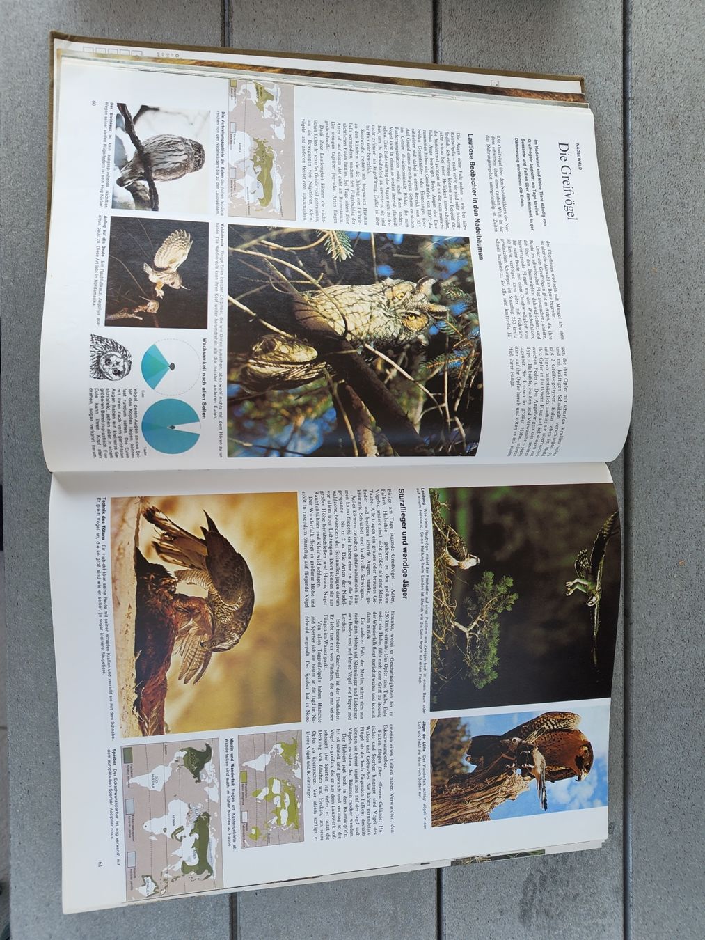 Libri: Bildatlas der Tierwelt  – Usato da Arth venduto da cin_p5ls 1
