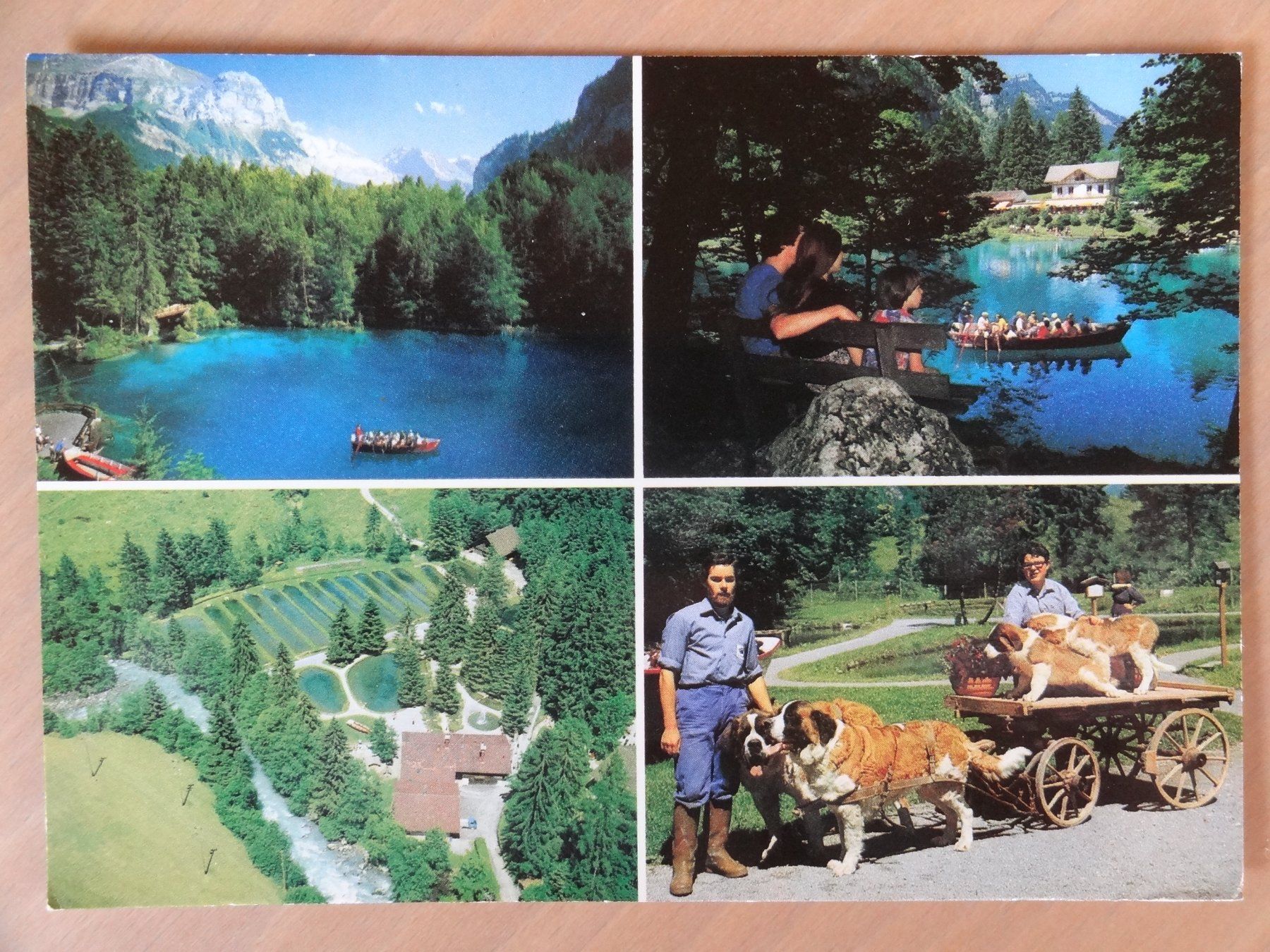 Cartoline postali: Lac Bleu - Blausee - BE - 2 AK – Usato da St Léonard venduto da Riglin