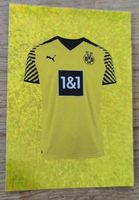 BVB 09 - Panini FIFA 365 Nr. 212  ⚽🏆