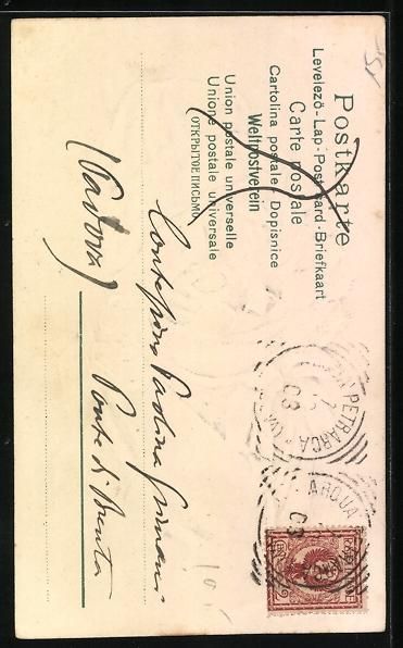 Cartoline postali: AK Katze mit Brille und Haube, 1903 – Usato da Berlin venduto da bartko-reher 1