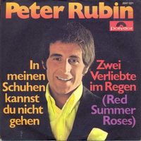 Rubin Peter - In meinen Schuhen kannst du nicht gehen (7")