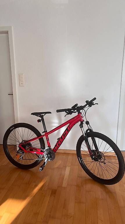 Biciclette: Mountainbike Kato Ghostrider – Usato da St.Gallen venduto da Celine215