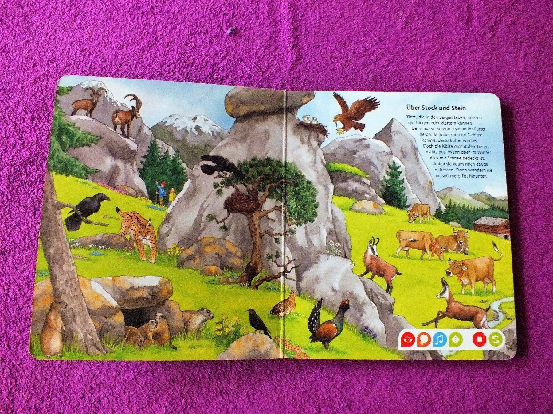 Ravensburger Spiele: tiptoi Globus + Bilderlexikon Tiere – Gebraucht aus Müllheim Dorf von Seeeule01 7