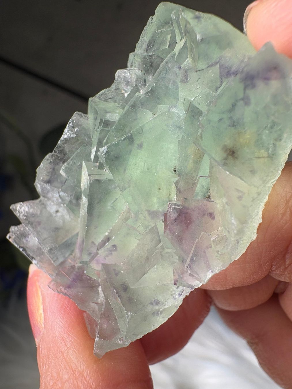 Pietre preziose: Grüner Fluorit – Nuovo (secondo la descrizione) da Neuheim venduto da m.hald