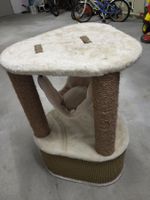 Katzenbaum