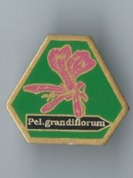 Plaketten & Abzeichen: Pel. grandiflorum Pin – Gebraucht aus Zürich von t24_de