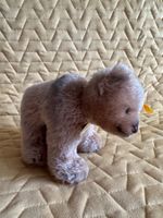 Steiff Bär braun, klein, Sammlerstück