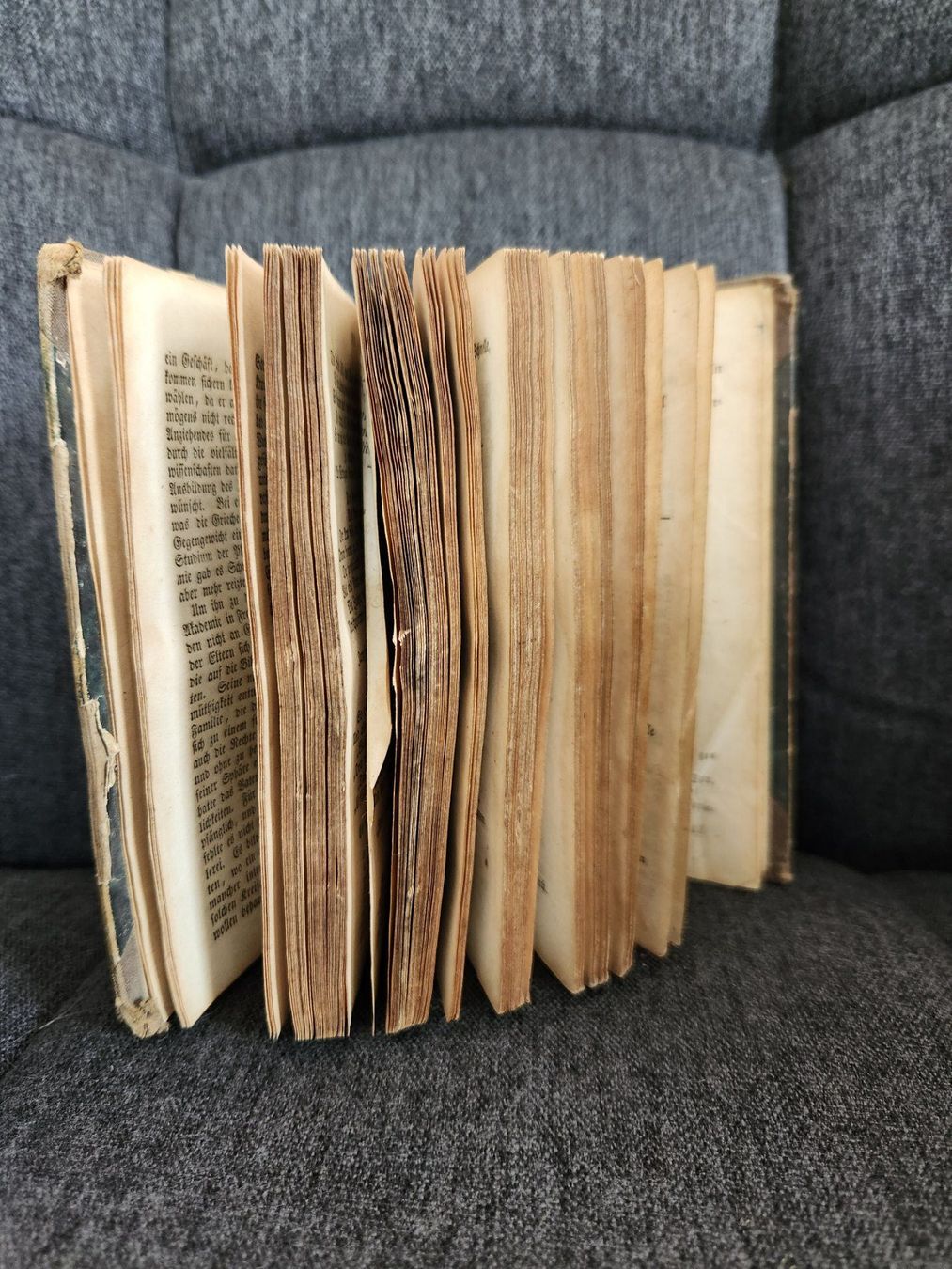 Libri: Kleineres, antikes Buch / 1848 – Usato da Fanas venduto da Rurero03 6