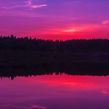 Profile image of PurpleSky89