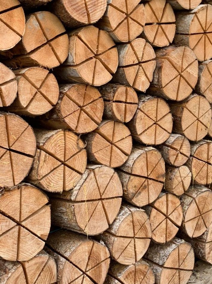 Articoli in legno: Finnenkerzen, 20/50/70 cm lang – Nuovo (secondo la descrizione) da Homberg b. Thun venduto da Treeart-1 2