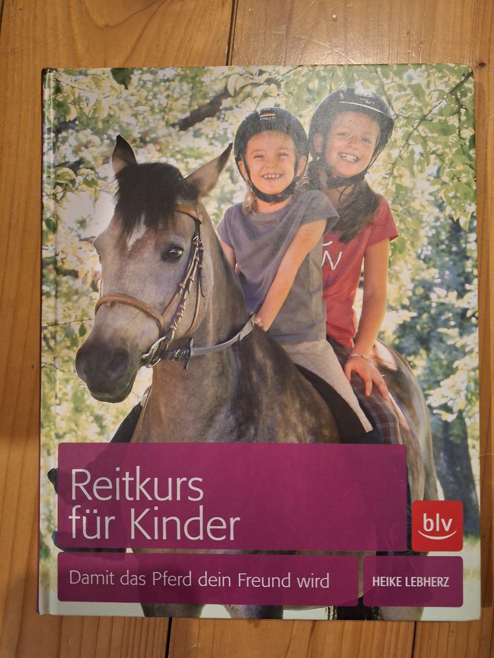 Libri: Reiten lernen – Usato da Niederdorf venduto da lcz_cl5m