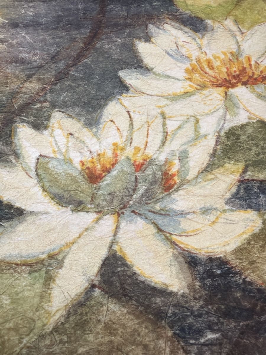 Dipinti: Heinz Vogel, Aquarell, Seerosen. – Usato da Biberist venduto da Momo33 2