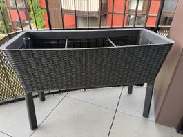 Hochbeet Rattan von Keter 