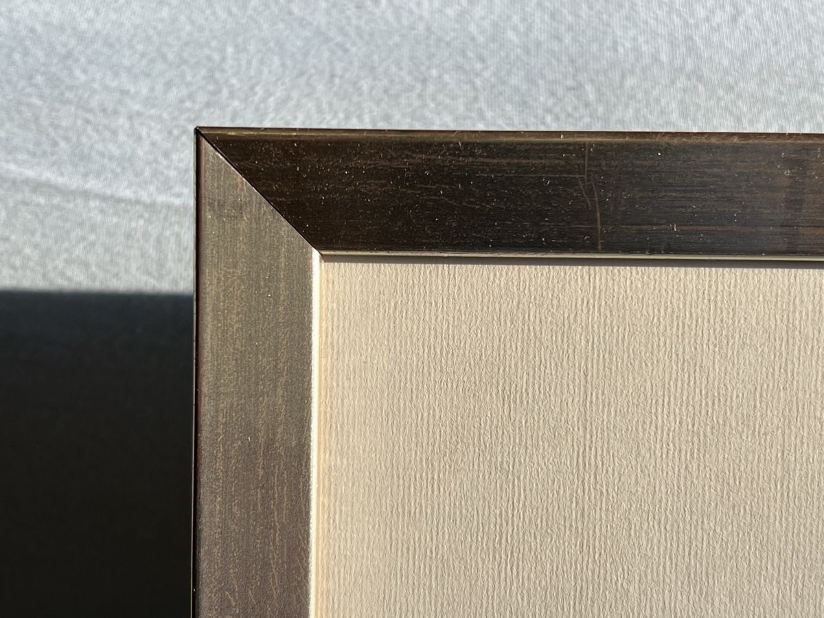 Grafica & Litografie: Zebrapaar von Fritz Hug, Lithografie – Usato da Zürich venduto da juergarno 6