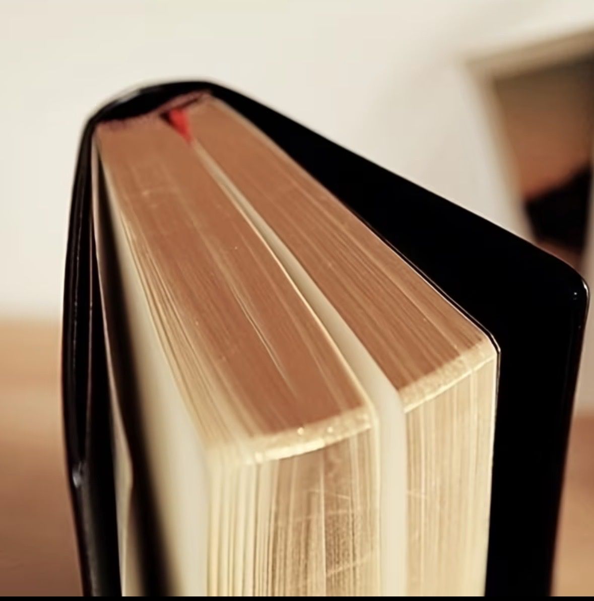 Blocs de correspondance: Notizbuch Schwarz mit Lesezeichen – Neuf avec emballage d'origine à Kloten par digi-Galaxy 8