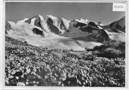 Blick von der Diavolezza auf Piz Palü,