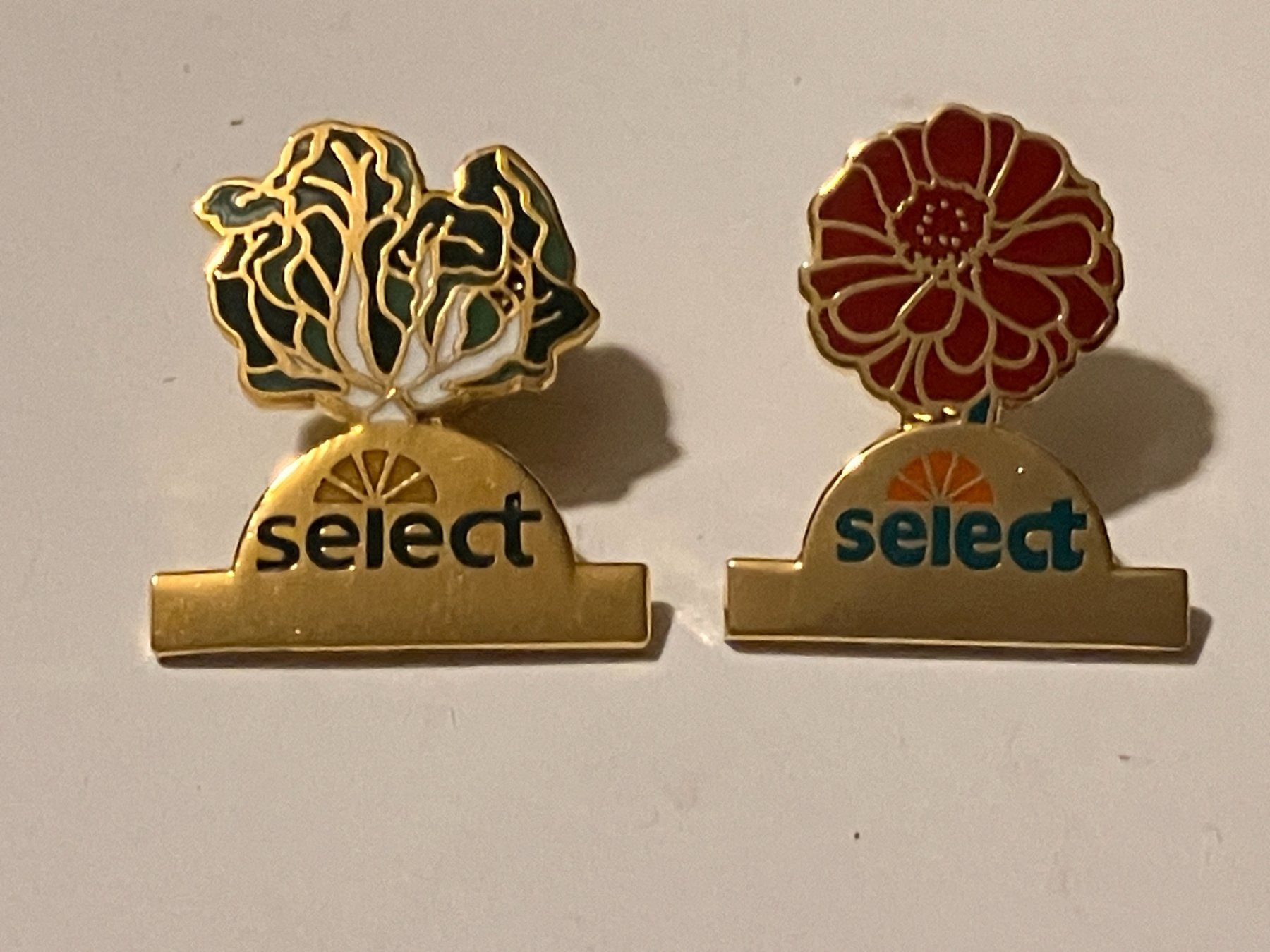 Placchette & Badge: 2 Pin Select – Usato da Basel venduto da djwwpp