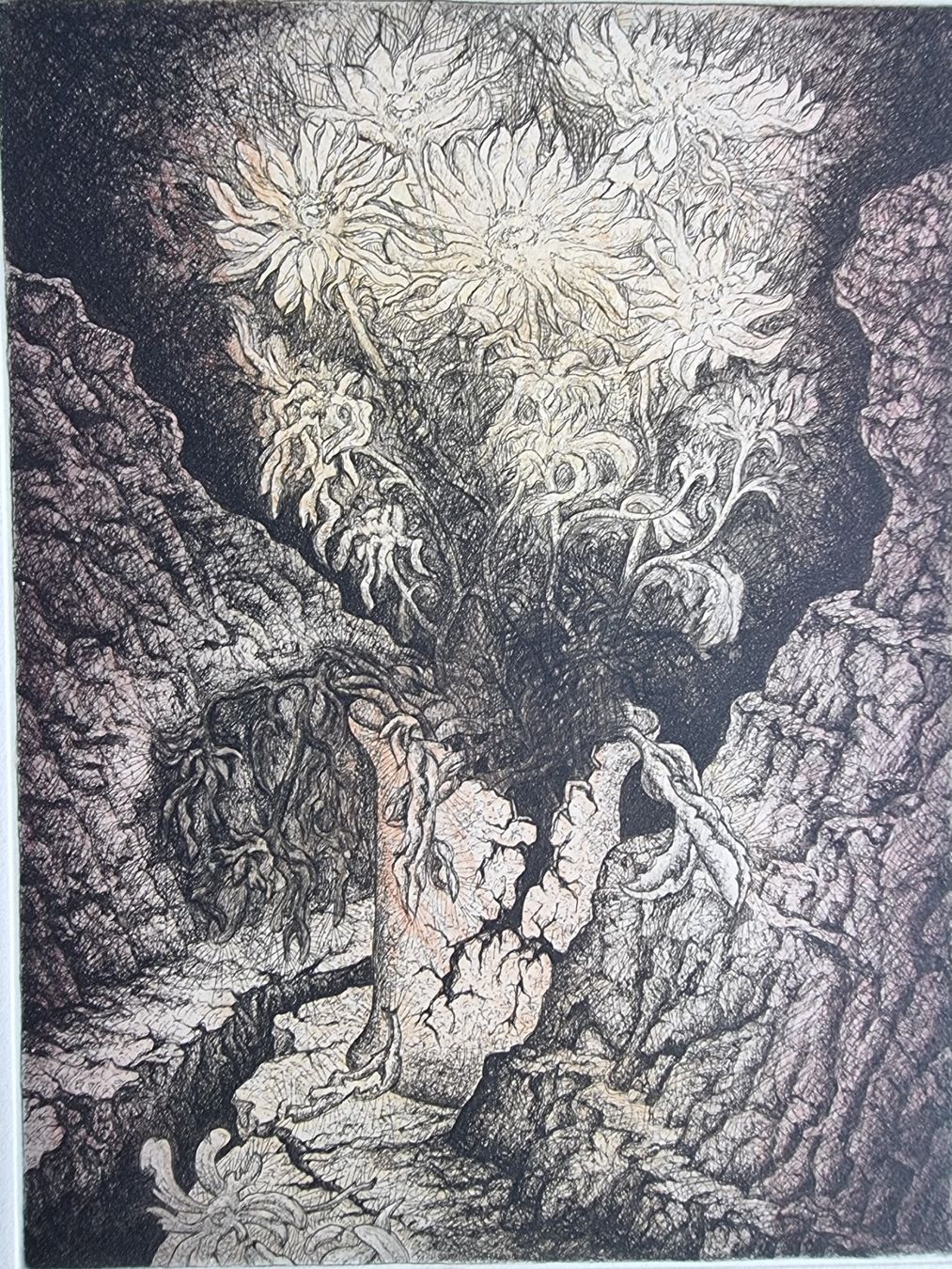 Grafica & Litografie: EBNER MARKUS RADIERUNG SIGNIERT NUMMERIERT – Usato da Gersau venduto da grafik-kunst
