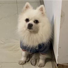 Profile image of lin_8l8c