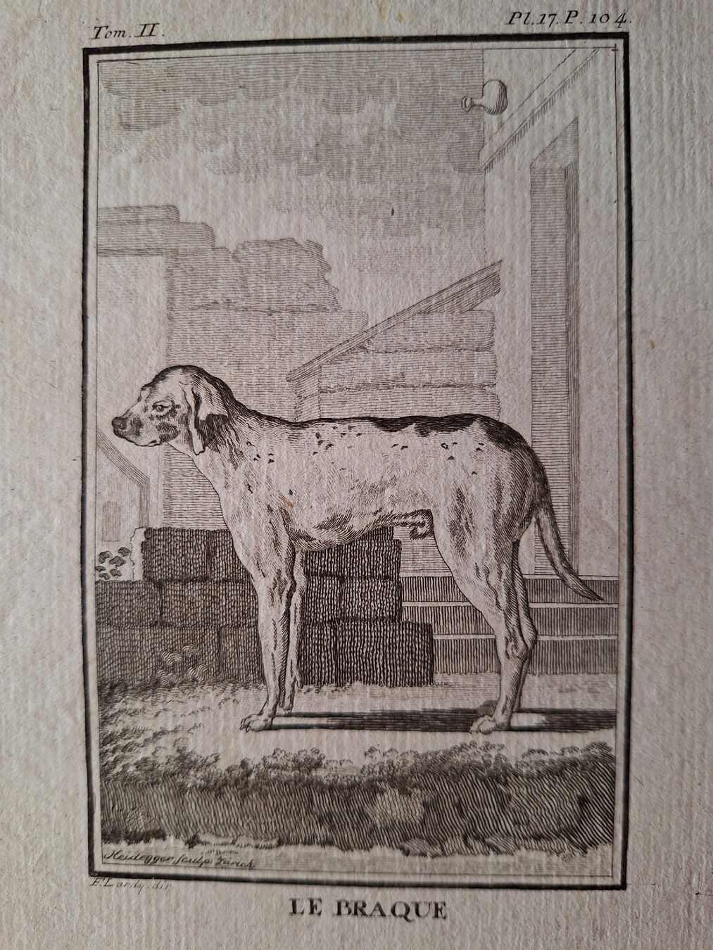Gravures: LE BRAQUE – D'occasion à Bevaix par bohrap