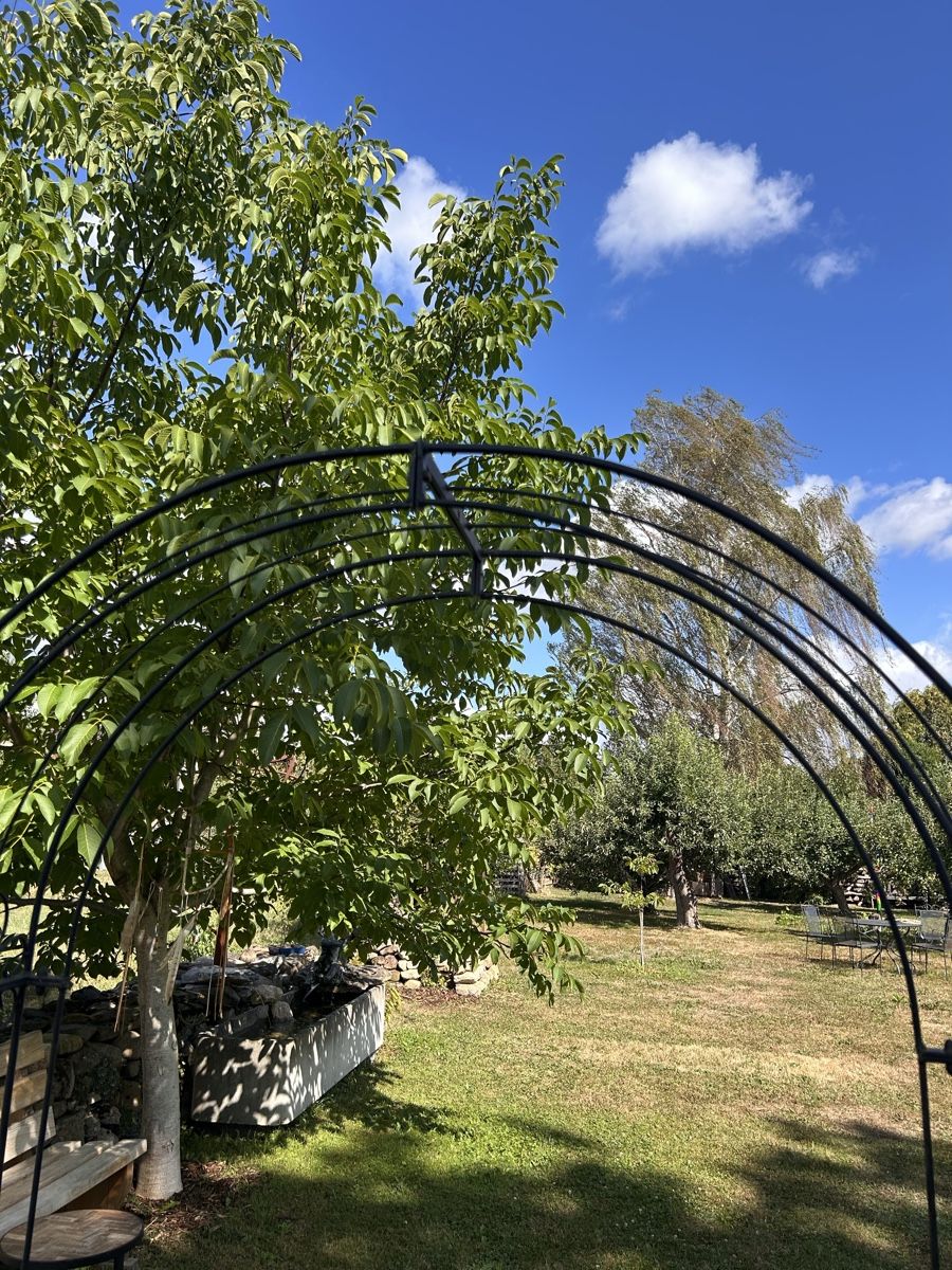 Tiro con l'arco: Gartenbogen Schmiedeeisen schwarz Bogen Deko – Usato da Niederhasli venduto da betscharten 3