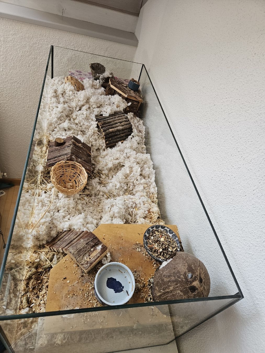 Gabbie, trasporto & Sicurezza: Terrarium/Hamsterkäfig – Usato da Ormalingen venduto da Lester11 2