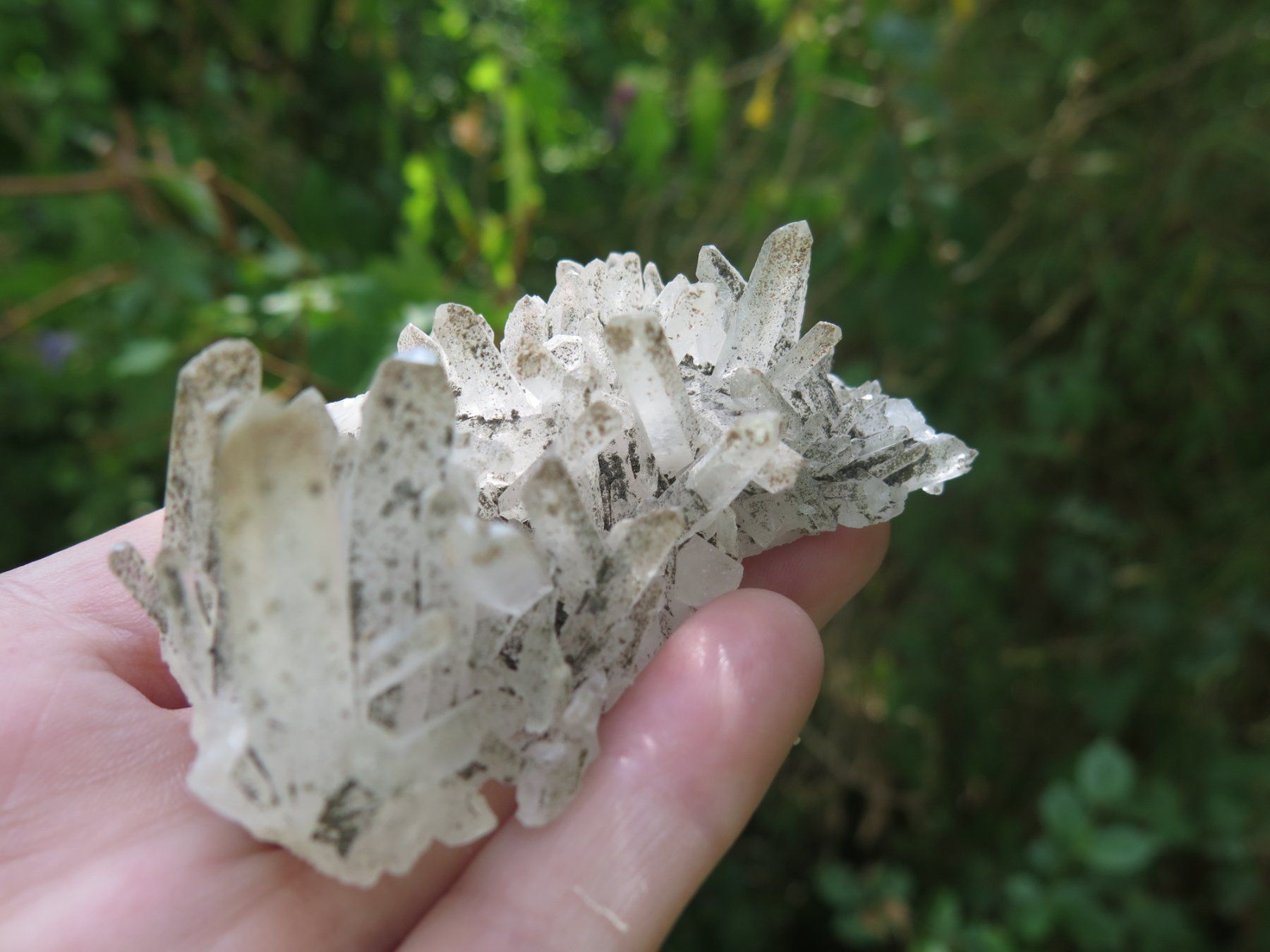 Minerali & Pietre curative: Bergkristall mit Chlorit von Mexico – Usato da Schaffhausen venduto da Yamakana51L8736OQ8 5