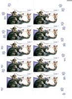 Katzen  1 KB **