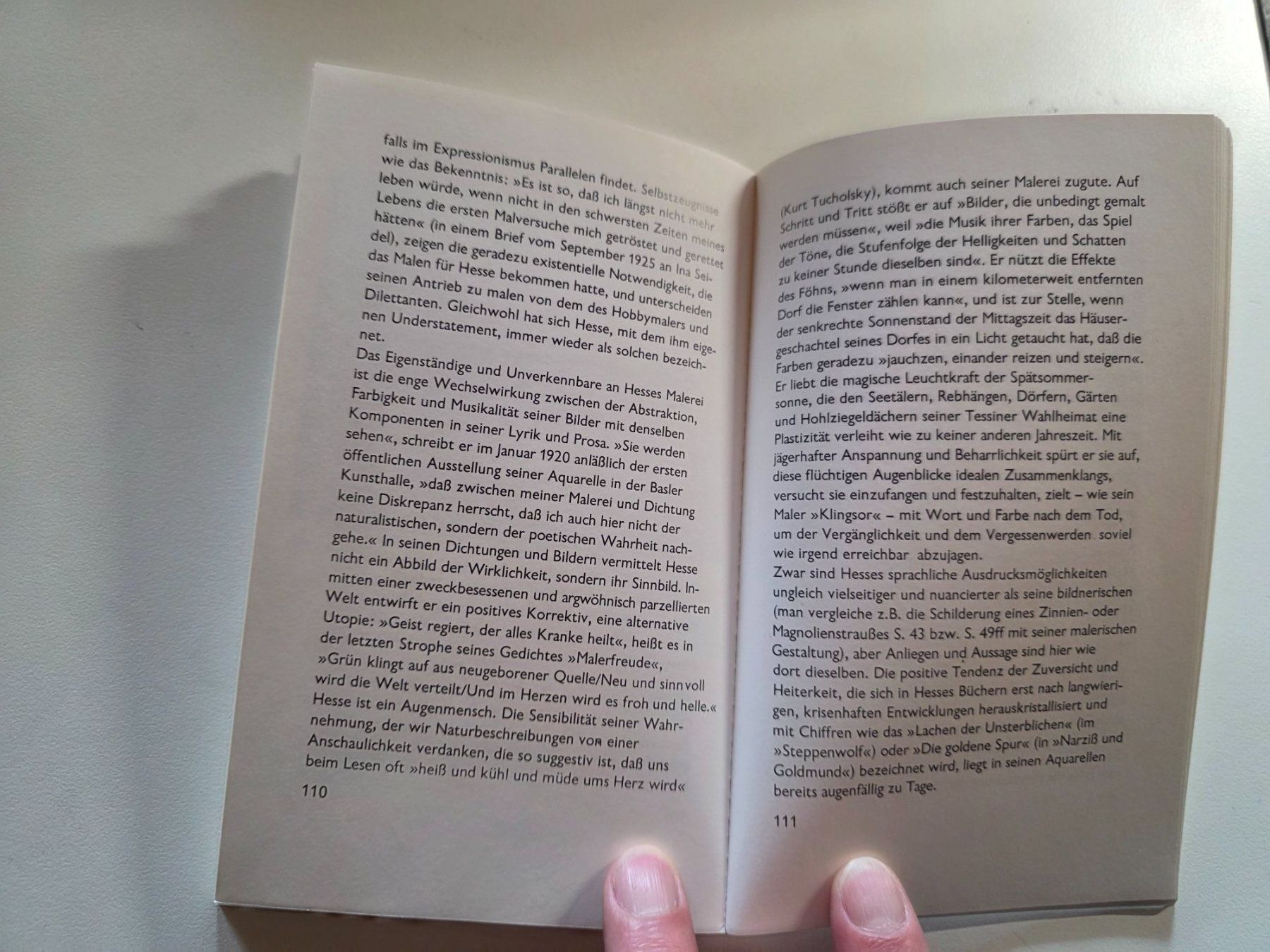 Libri: Hermann Hesse - Magie der Farbe - 1980 – Usato da Walterswil BE venduto da Lonitti 4