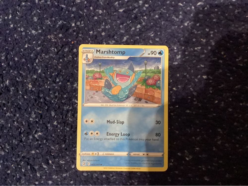 Pokemon TCG Swampert Evolution Line + Code Card (Neu (gemäss ...