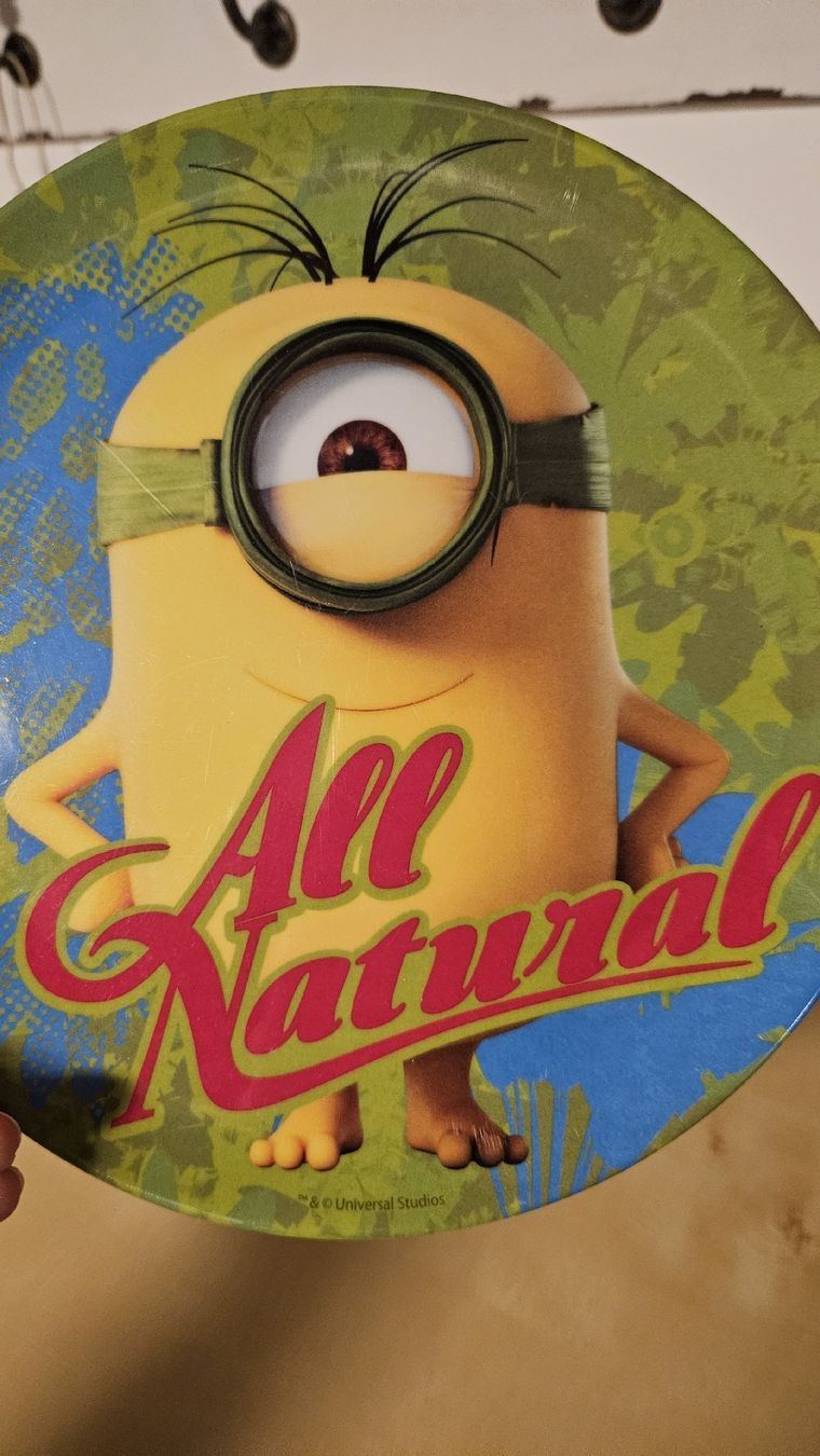 Set di piatti: Minions Teller und Schälchen – Usato da Schwanden Sigrisw venduto da Pumuckel27 1