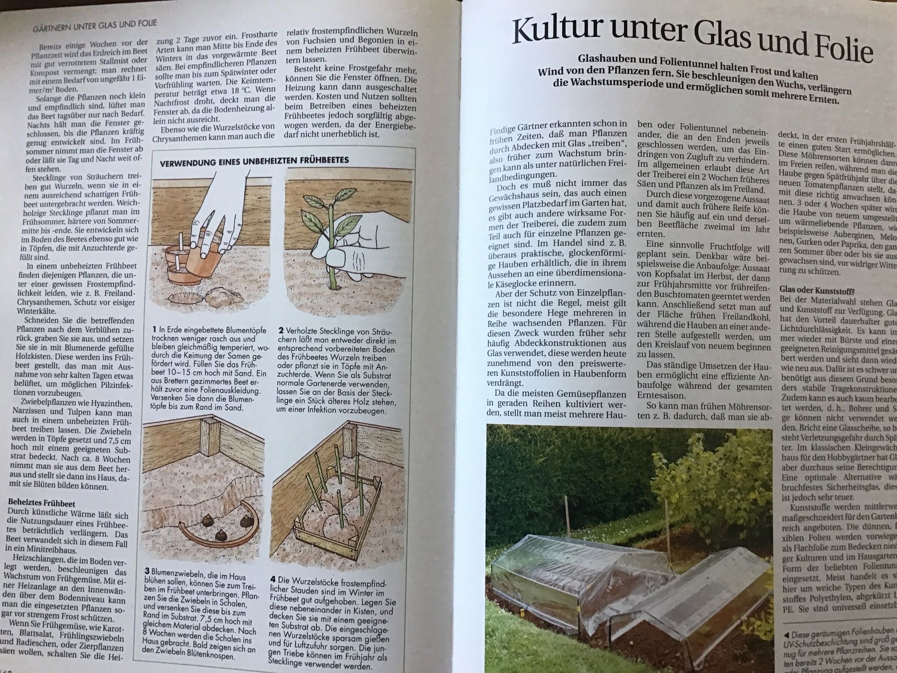 Libri: Der gesunde Biogarten – Usato da Kirchenthurnen venduto da Gluecksbrief 7