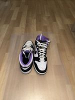 Nike dunk High SE World Champion EU 45