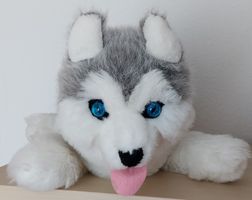 HUSKY