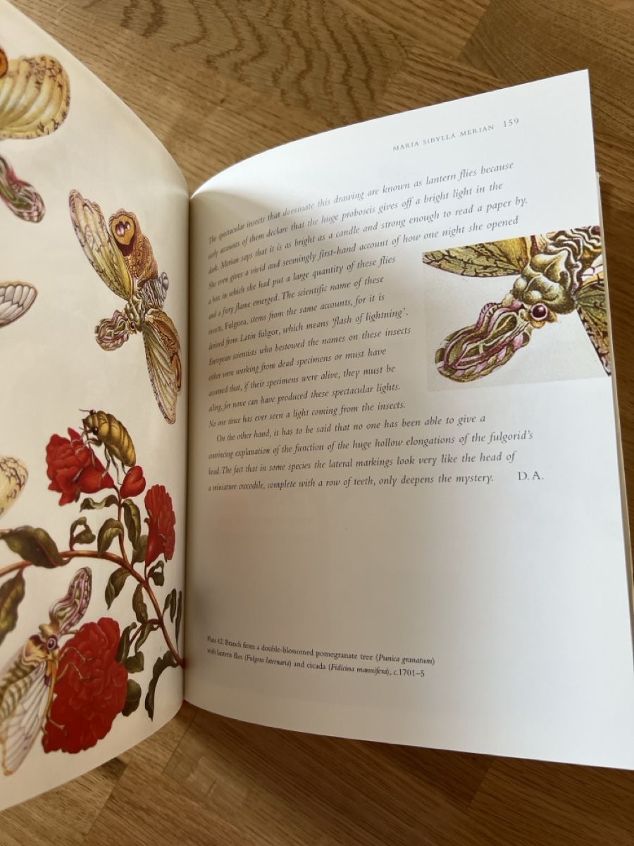 Libri: David Attenborough: Amazing Rare Things, Book – Usato da Basel venduto da clembou 3
