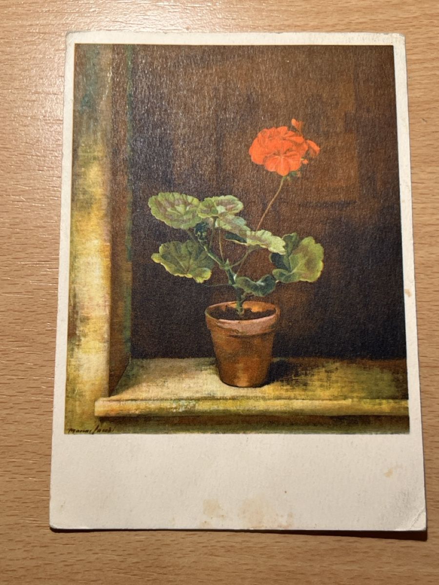 Cartoline postali: Alte Ansichtskarte, Geranie, Marcus Jacobi, Merligen. Top! – Usato da Hinwil venduto da Chuan2