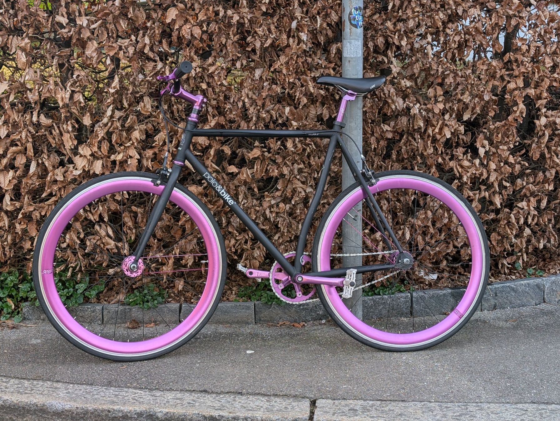 Velos: Poloandbike Nigra II Fixie / Singlespeed, 54 cm, 26 Zoll – Gebraucht aus Zürich von greg_richrd