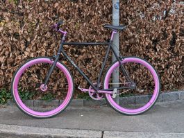 Poloandbike Nigra II Fixie / Singlespeed, 54 cm, 26 Zoll